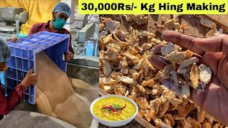 ₹30000 Kg😱😱 Everything You Need To Know About Hing Asafoetida  देखिए हींग कैसे बनता है😳😳 [upl. by Lleuqar]