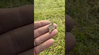 Buried items found metaldetecting a colonial era field treasurehunt xpdeusii history treasure [upl. by Dimitri]