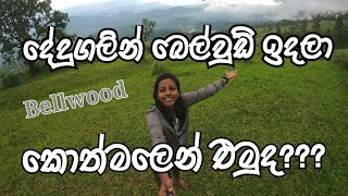 Dedugala  Nalagana Ella  Ambuluwawa  Bellwood Camping  Kotmale  Mahaweli maha seya [upl. by Efthim]