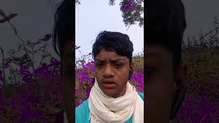 এ টিকলি টিকলি রে।।trandingsong puruliasong kundankumarviralvideoshortsvido [upl. by Yzus929]