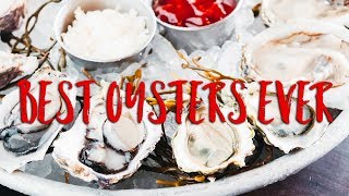 BEST OYSTERS IN NEW YORK [upl. by Andras]