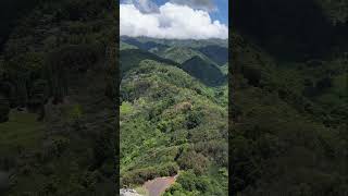 Welcome to Manana Oahu Hawaii 🛸🌳⛰️ [upl. by Maynard]