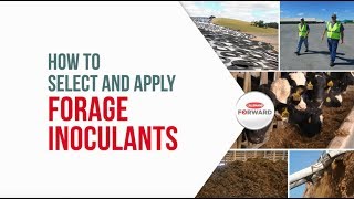 How to Select and Apply Forage Inoculants [upl. by Namlas89]