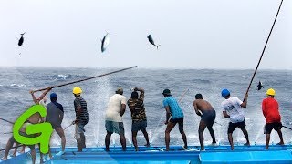 Catching tuna Maldivian style  Greenpeace [upl. by Leva]