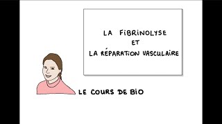 Hémostase  fibrinolyse et réparation vasculaire [upl. by Cykana]