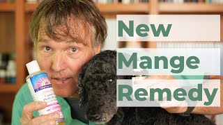 How to Treat Mange in Dogs at Home [upl. by Aynotal775]