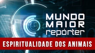 Mundo Maior Repórter  Espiritualidade dos Animais 08032014 [upl. by Ahsaya]