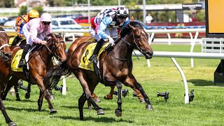 2024 Schweppes Thousand Guineas won by Another Prophet [upl. by Carlynne]