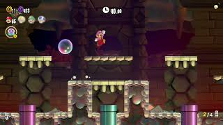 Super Mario Bros Wonder NS Deep Magma Bog  KO Arena  Magma Flare Up [upl. by Meerak]