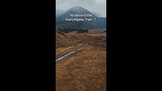 All aboard the TranzAlpine Train New Zealand 🚆 [upl. by Candi717]