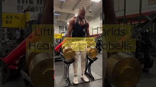 Lifting the worlds heaviest 330 pound golds dumbbells at golds gym Venice shorts [upl. by Ahsead204]