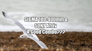 Sigma 100400mm and Sony A7riv is it a good combo [upl. by Curry767]