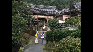 Shikoku Henro pilgrimage in Japan [upl. by Martinic]