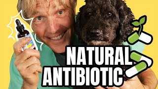 Natural Antibiotics to PREVENT and TREAT Infection [upl. by Jorie725]