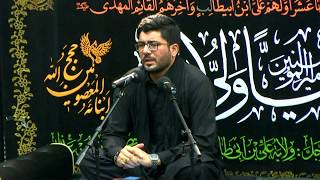 Salaam  Muharram 1440  Mir Hasan Mir [upl. by Pagas]