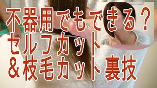 自分で簡単に後ろ髪を切る裏技女性試してみたamp枝毛のセルフカットの方法 [upl. by Weyermann]