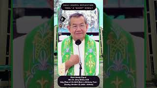 SHORT CLIP – HOMILY – REFLECTION OF REV FR JERRY ORBOS SVD [upl. by Nerty113]