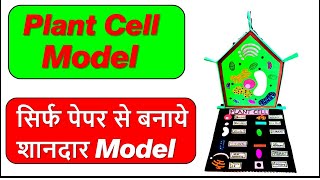 Plant Cell model making using cardboard  biology project  diy science project  bio project [upl. by Nythsa]