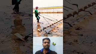 🤔விதை விதைக்க சூப்பர் ஐடியா⁉️  Super Farm Idea💯 trending seedsowing tipsandtricks ideas shorts [upl. by Kinny997]