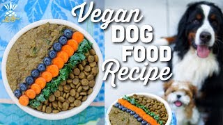 What We Feed Our Dog Homemade Vegan Dog Food Recipe [upl. by Win465]