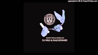 Bunny  Chalk Dale Howard Remix [upl. by Novaat]