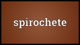 Spirochete Meaning [upl. by Annayk]