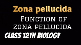 Zona Pellucida  Function of Zona Pellucida  science reproductive biology cbse [upl. by Silvester]