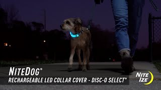 NiteDog® Rechargeable LED Collar Cover  DiscO Select™ [upl. by Mcgrath]