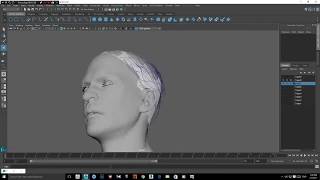 Ornatrix Maya Male head and facial hair tutorial [upl. by Edualc]