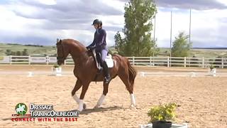 Dressage Training by Lars Petersen on Improving the Connection [upl. by Livia910]