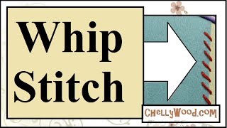 Hand Embroidery Stitch Whip Stitch Tutorial [upl. by Araiek]