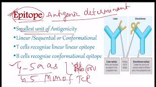 Antigens  definition and Factors affecting Antigenicity [upl. by Bedelia919]