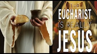 The Eucharist is really Jesus [upl. by Elbertina]