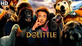 Dolittle Full Movie In Hindi Dubbed HD  hollywood movies 2024 full movie  Facts amp Review [upl. by Yotal520]