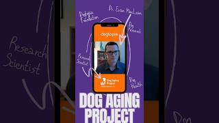 Evan talks w Dogtopia bout the problemsolving games his team developed to track cognitive aging [upl. by Eihctir875]