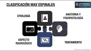 Malformación arteriovenosa de la medula espinal [upl. by Rolland240]