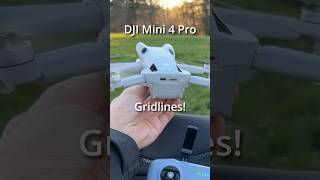 🔥How to use Gridlines at Sunset with your DJI Mini 4 Pro dji drone [upl. by Nimad]