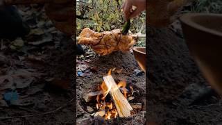 Campfire Chicken Sandwich cooking food nature camping [upl. by Herzig87]