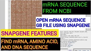 Download mRNA sequence from ncbi database ll Download gb file of mRNA sequence ll Xgene And proteinX [upl. by Ellehcir]