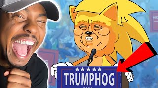 Vote Donald The Trumphog FOR PRESIDENT  Flashgitz Reaction [upl. by Stacey]