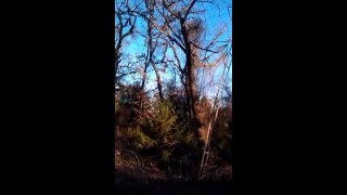 Lexington Sasquatch Research Group Pottawatomie County Oklahoma Bigfoot investigation video 1 [upl. by Corsetti551]