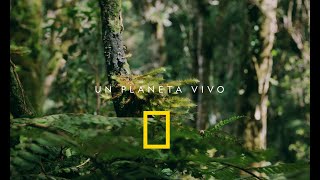 22 DE ABRIL  DÍA DE LA TIERRA OTRO PLANETA ES POSIBLE  NATIONAL GEOGRAPHIC ESPAÑA [upl. by Hertzfeld372]