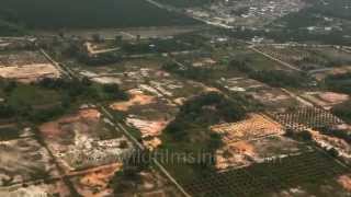 Mosque and palm plantations  aerial footage from Malaysia [upl. by Pedersen]