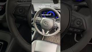 2019 TOYOTA COROLLA TOURING [upl. by Amandi]