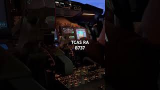 TCAS Resolution Advisory B737 airplane aviation aviationgeek aviationlovers aviationdaily [upl. by Ecineg818]