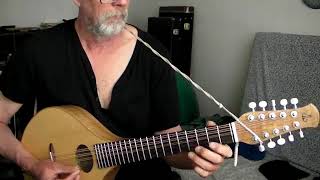 Mooncoin jig on Brauchli cittern [upl. by Delfeena]