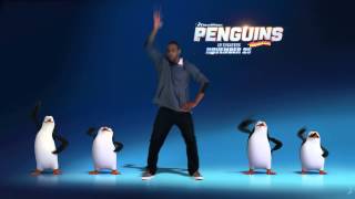 Penguins Dance [upl. by Bithia]