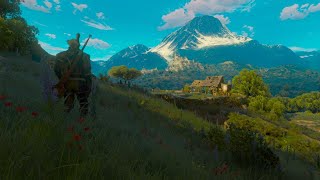 Witcher 3 Blood amp Wine  Wine Wars 4K PS5 Commentary [upl. by Anaidni]