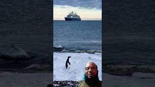 Yatri doctor in Antarctica  85 lakh Room Tour shorts [upl. by Girhiny940]