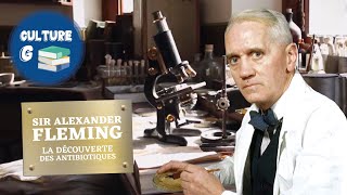 Alexander Fleming la révolution des antibiotiques [upl. by Anilemrac326]